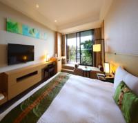 The Deluxe Guest Room